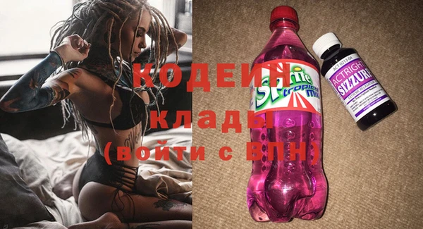 соль ск Вяземский
