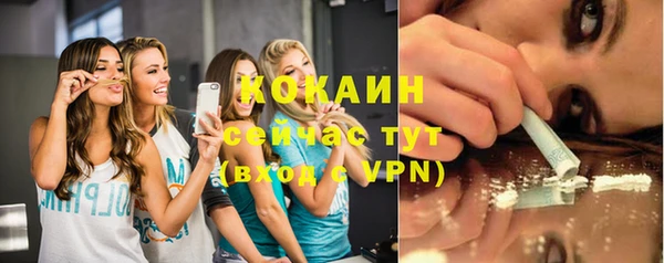 соль ск Вяземский