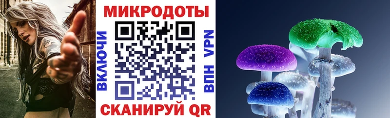 Псилоцибиновые грибы мухоморы  ОМГ ОМГ вход  Зеленогорск 
